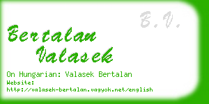 bertalan valasek business card